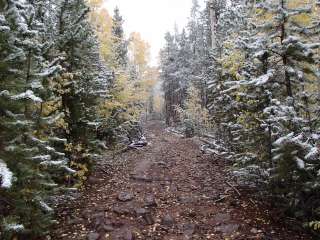 Massey Meadow Camping Area