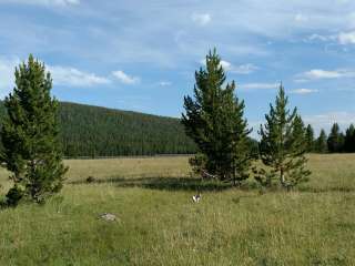 Windy Park Camping Area