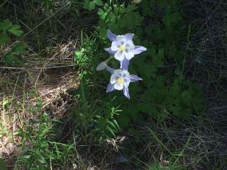 Ashley National Forest - Deep Creek Campground