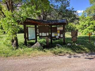 Fishlake National Forest Birch Creek Rec Site