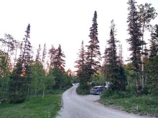 Willow Lake Fishing Camp Area