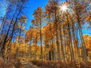 Manti-LaSal National Forest Potters Pond Campground