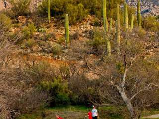 Santa Catalina Recreation Area