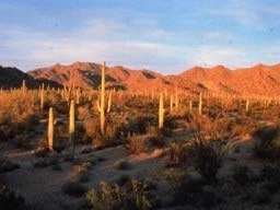 South Maricopa Mountains Wilderness Area