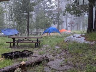 Columbine Corrals Campground - Coronado National Forest