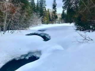 East Fork Yurt