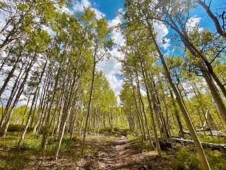 Deer Creek Lake Trail