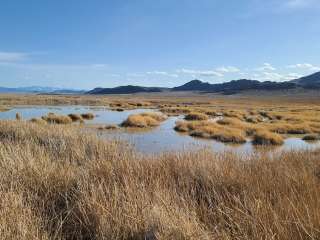 Blue Lake Wildlife Management Area