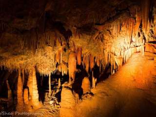 Kartchner Caverns State Park Camping — Kartchner Caverns State Park