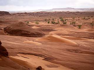 White Wash Sand Dunes Camp