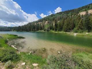 Grassy Lake Lakeside Camp