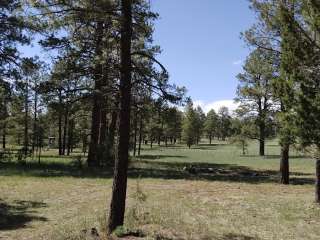 Brianhead Designated/Dispersed Upper Navajo Lot