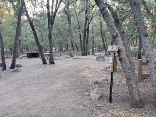 Chiricahua Mountains