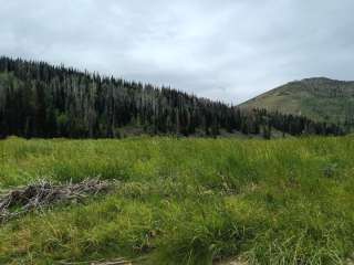 Fish Creek Trail Camp