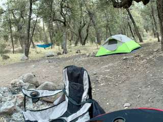 Pinery Canyon Road Dispersed Camping - Coronado National Forest