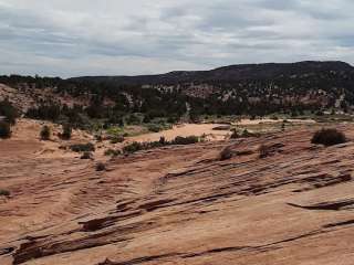 Moccasin Mountain Dinosaur Tracksite