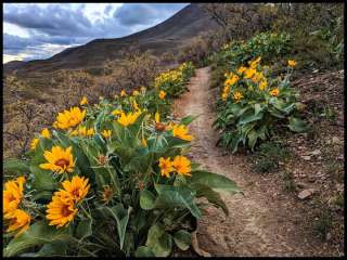 Quandry Canyon Trailhead