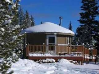 Carter Military Trail Yurt