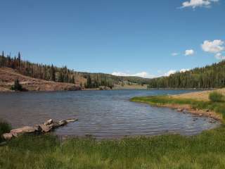 Twin Ponds Cua Dispersed