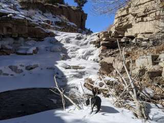 South Creek (Upper) Trailhead