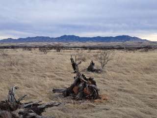 Empire Ranch Area Dispersed Camping