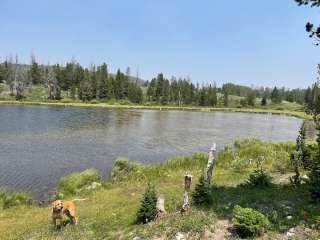 Little Lyman Lake Campground