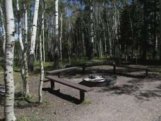 Elkhorn Campground