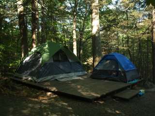 Townshend State Park — Townshend State Forest