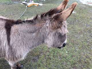 Willoughby Farm Animal Rescue