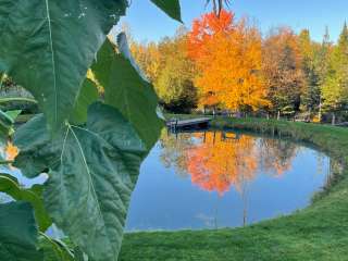 Clyde River Camping 