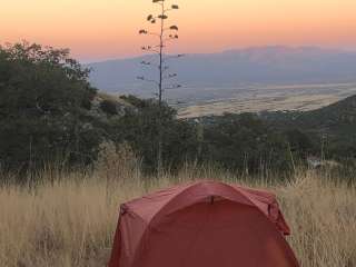 Ash Canyon Road Dispersed