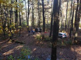 Braley Pond Dispersed Camping & Day Use Area