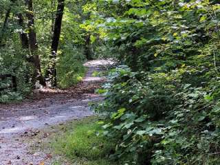 Little Fort Campground