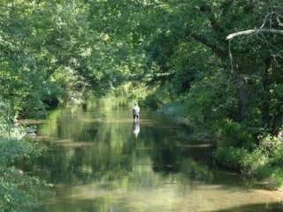 Elizabeth Furnace Campground