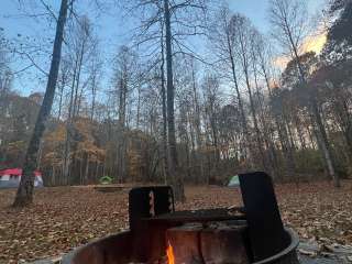 Cove View Campground — Natural Tunnel State Park