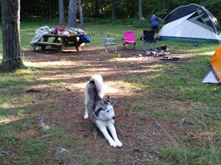 Walnut Flats Campground