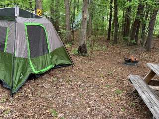 Waltons Campground 