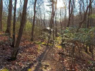 Catawba mountain shelter