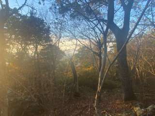 Laurel Prong Trail Dispersed 