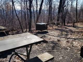 Gravel Springs Hut — Shenandoah National Park