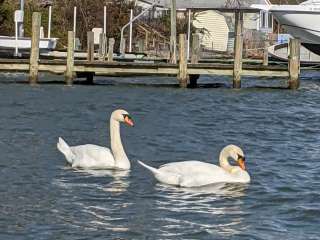 Monroe Bay Marina and Campground