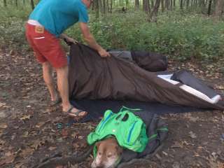 Compton Gap Backcountry camping — Shenandoah National Park