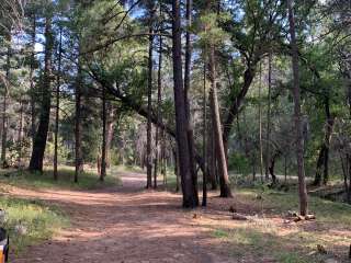 Pinery Campground Lower - Dispersed