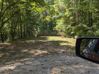 Colon Hollow Shelter Campground