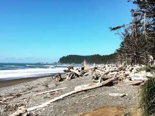 Mora Campground — Olympic National Park