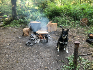 Hoh Campground — Olympic National Park