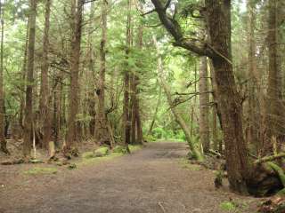 Bogachiel State Park