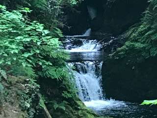 Queets Campground — Olympic National Park