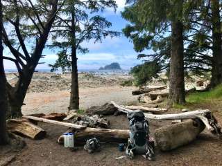 Cape Alava Campground — Olympic National Park