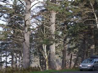 Strawberry Point Camping — Olympic National Park